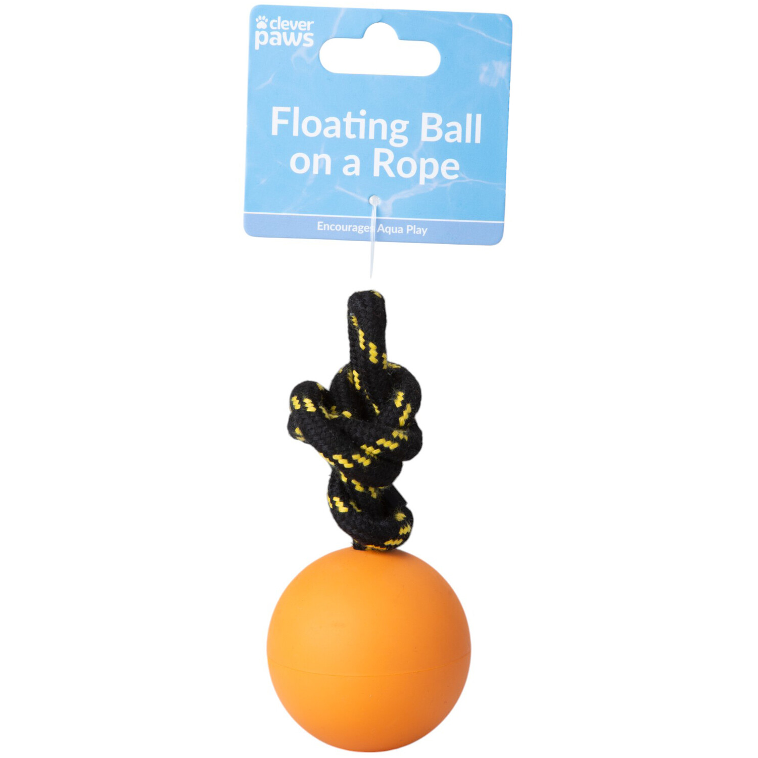 Rubber Ball on a Rope Dog Toy