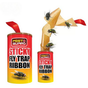 Pack of 20 Insect Traps Sticky Paper