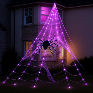 LED Spider Web Decoration