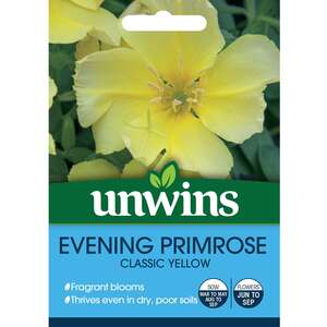 Unwins Evening Primrose Seeds (Oenothera biennis) - Lemon-Yellow, 50 Seeds