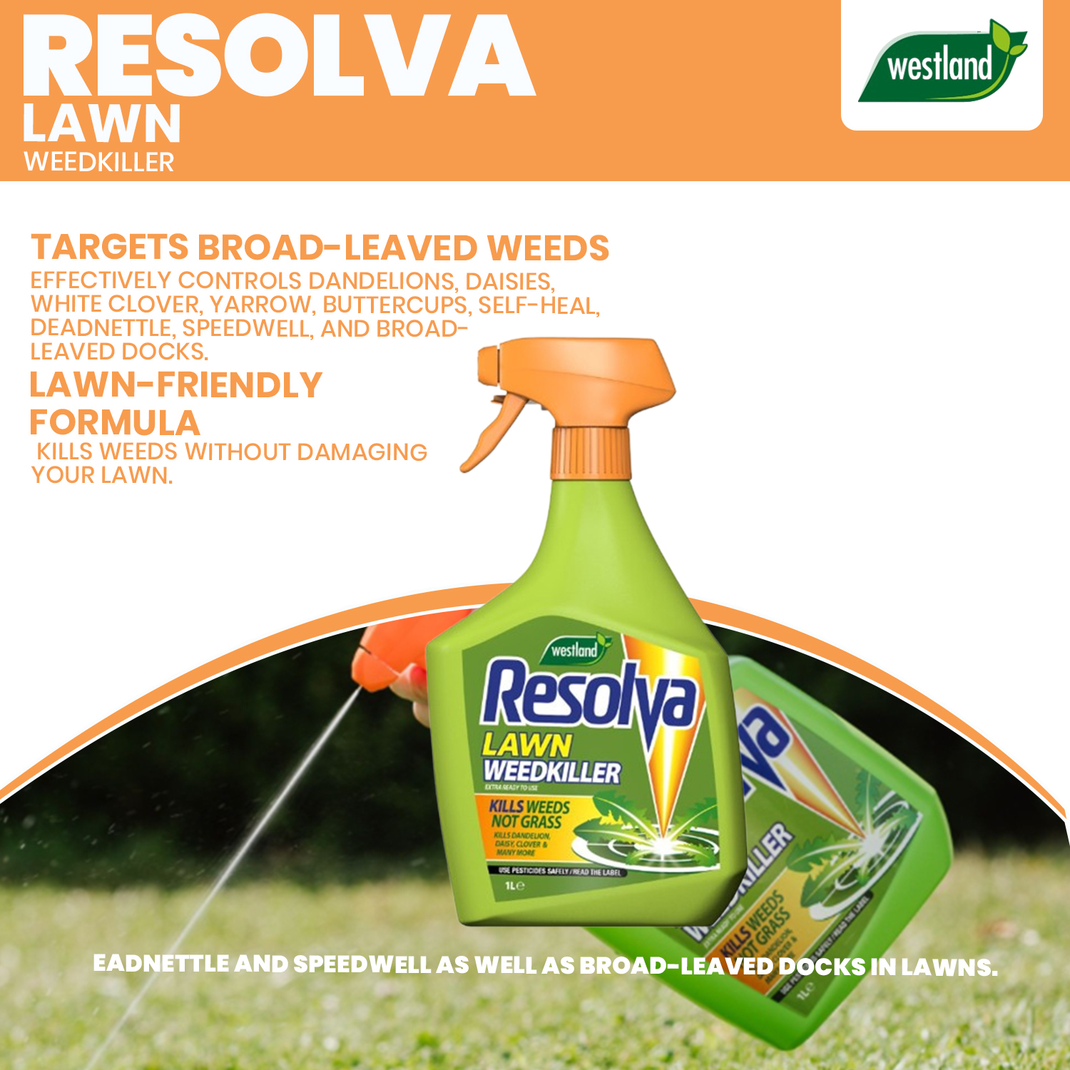 B&Q -  Lawn Weedkiller Extra Ready To Use 1L Broadleaf Weed Control Glyphosate Free - Image 3