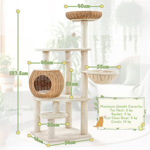  shot 15098404