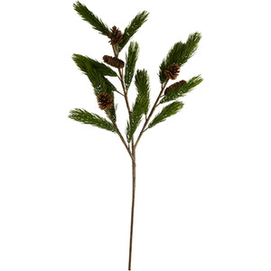 Natural Pinecone Branch
