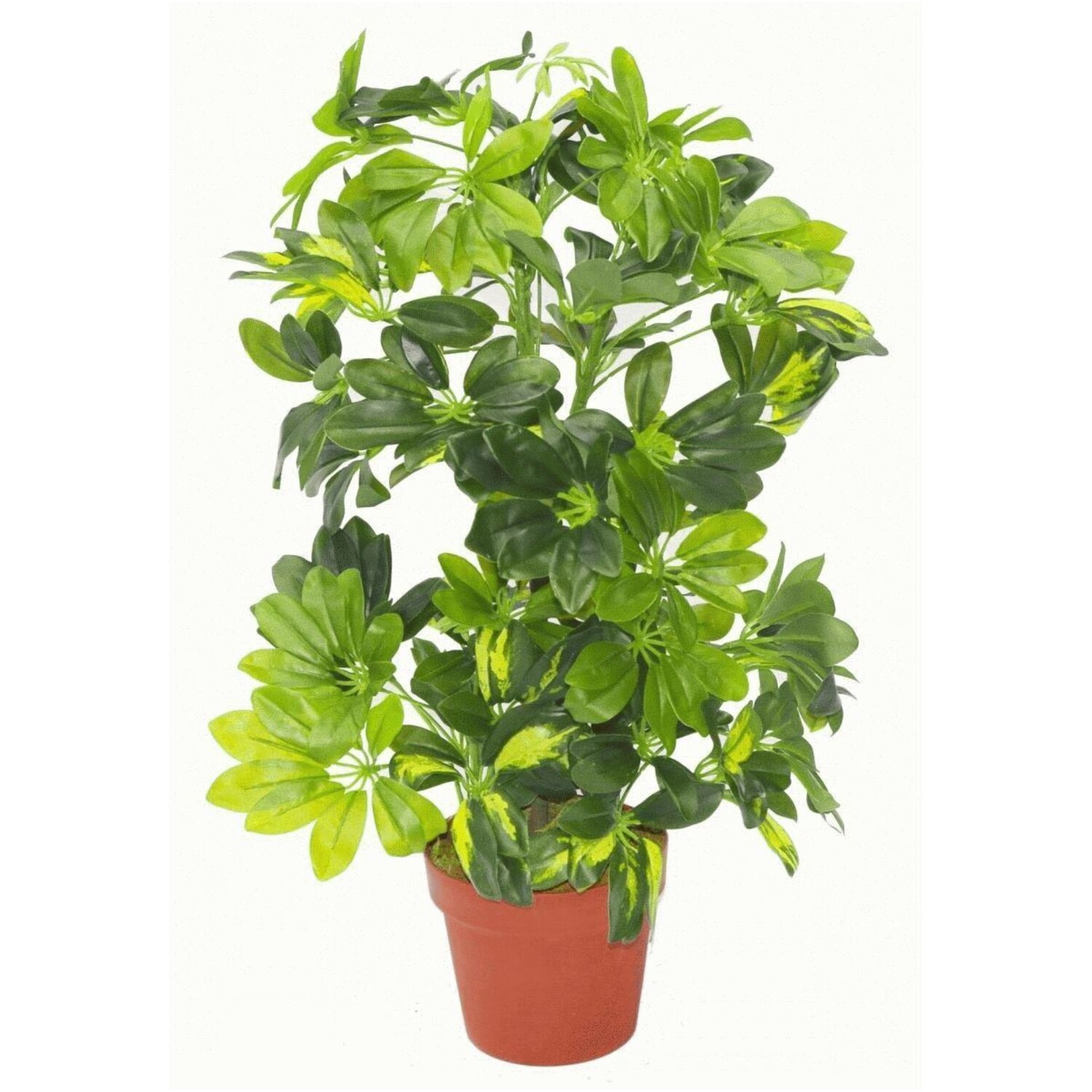 75cm Gold Capella Umbrella Artificial Plant