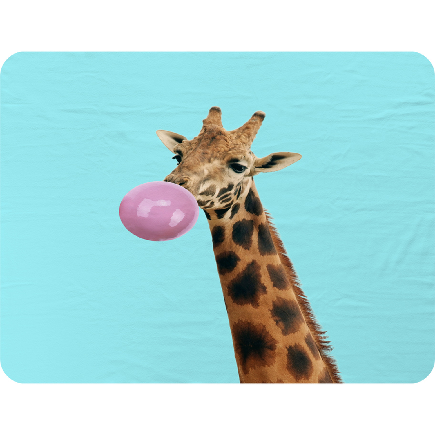 Bubble Gum On Color Background Blanket - Blue