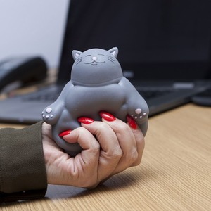 Kalma Kitty Stress Toy