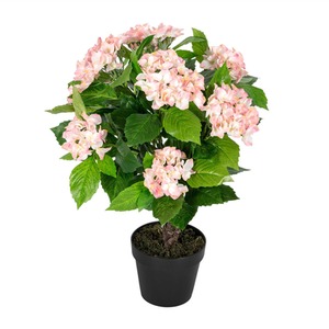 Homescapes Artificial Pink Hydrangea in Black Pot, 70 cm