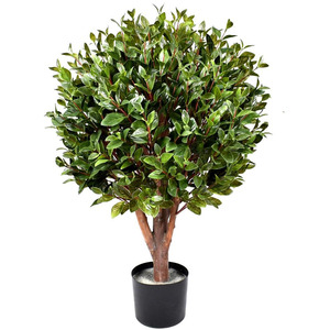 UV Resistant Gloxinia Single Ball Topiary 1608 Leaves
