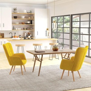 Modern Accent Chairs Velvet Set of 2