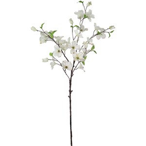 Dogwood Spray