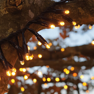 Cluster Lights Black Rubber IP65 CG 10M