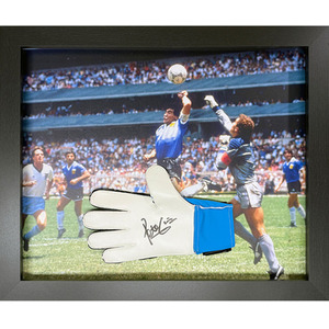 Peter Shilton Signed and Framed Goalkeepers Glove