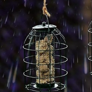 Nut Bird Feeder with Cage Safe Guard
