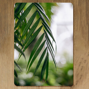 Closeup of green palm leaf Designer Placemat Set