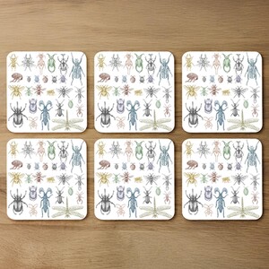 Many species in vintage old hand drawn style Designer Coaster Set