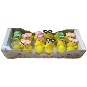 Pack of 12 Hat and Glasses Craft Chicks