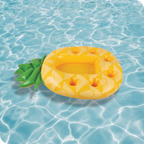 Pool & Spa Accessories