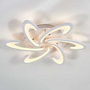 Special Design Energy-efficient LED Ceiling Light - Dimmable Light