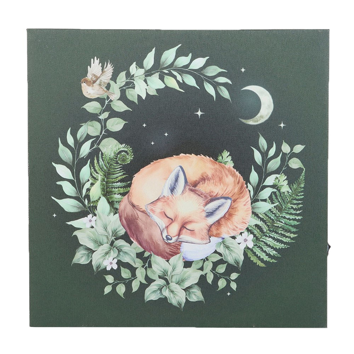 Something Different Unisex Multicolor Canvas Sleeping Fox Plaque - Image 2