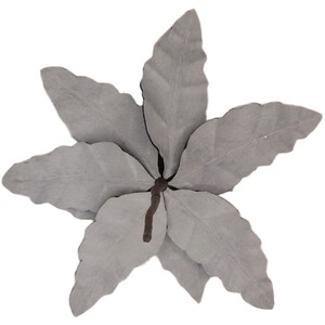  shot 16847949