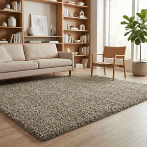 Ainsley Plain Living Room Shaggy Area Rug Modern Soft Pile Polyester Rug