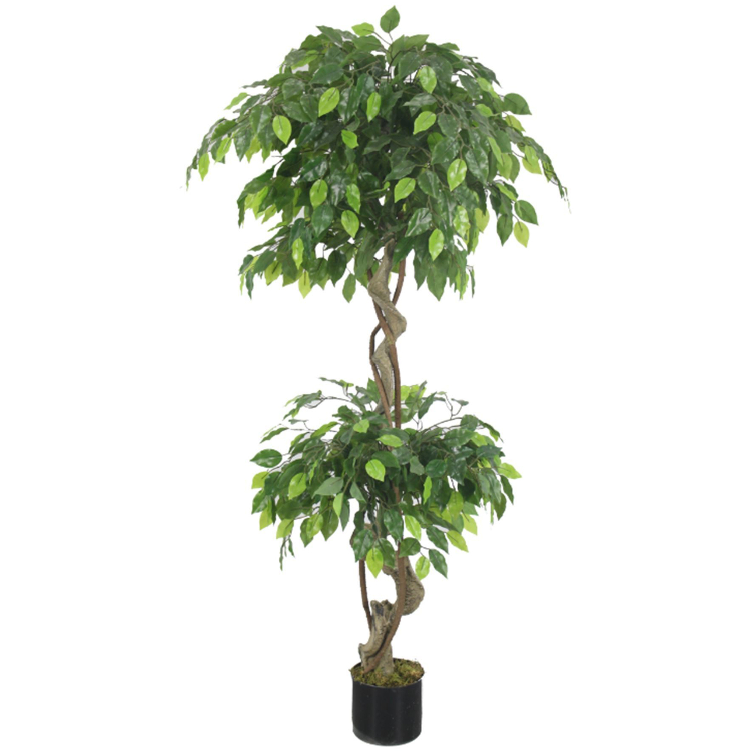 150cm Artificial Twisted Ficus Tree In Plastic Pot - Green