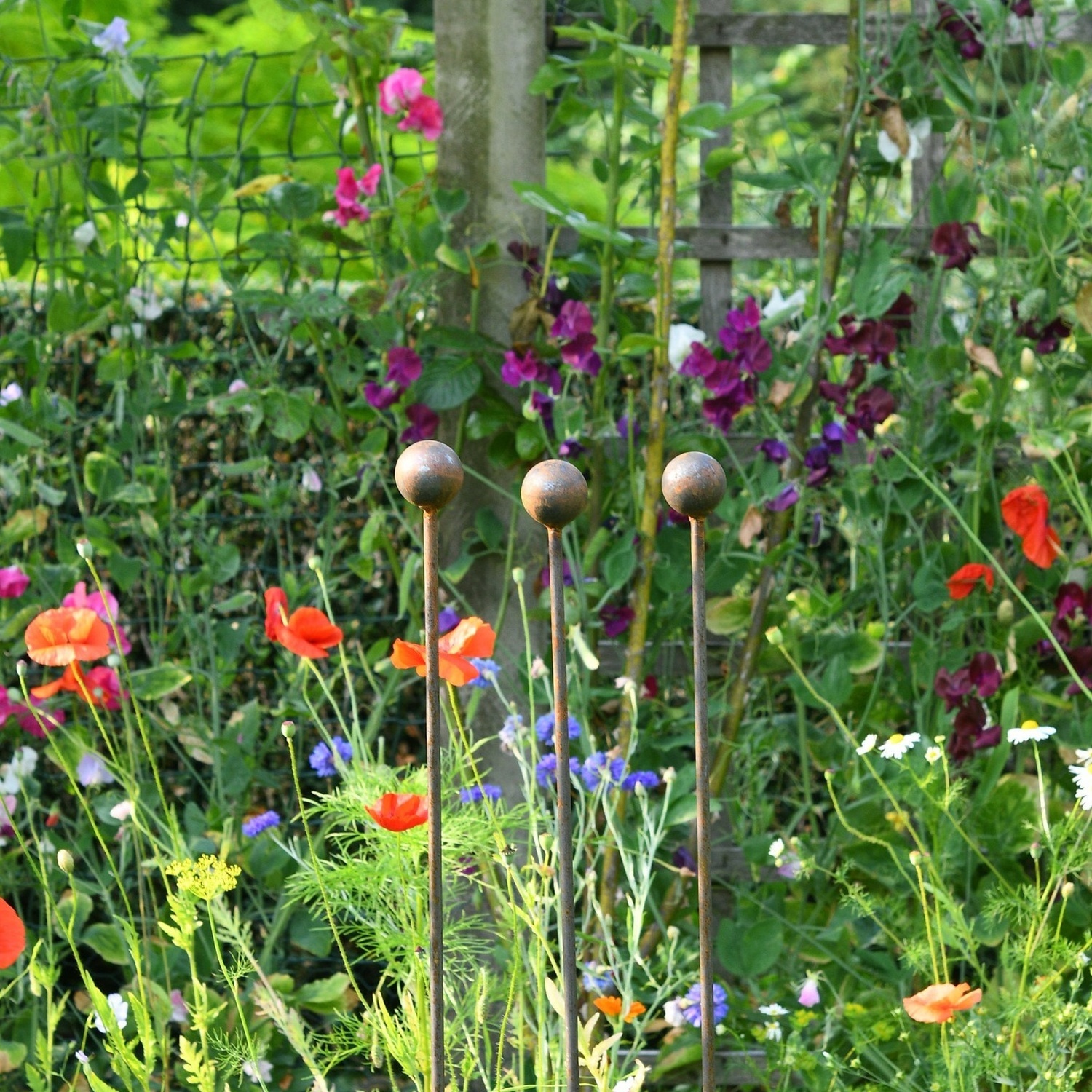 Savageworksuk Plant Support Stakes - Rusty