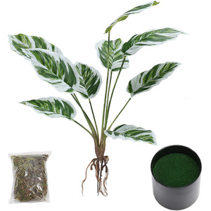  shot 1671462