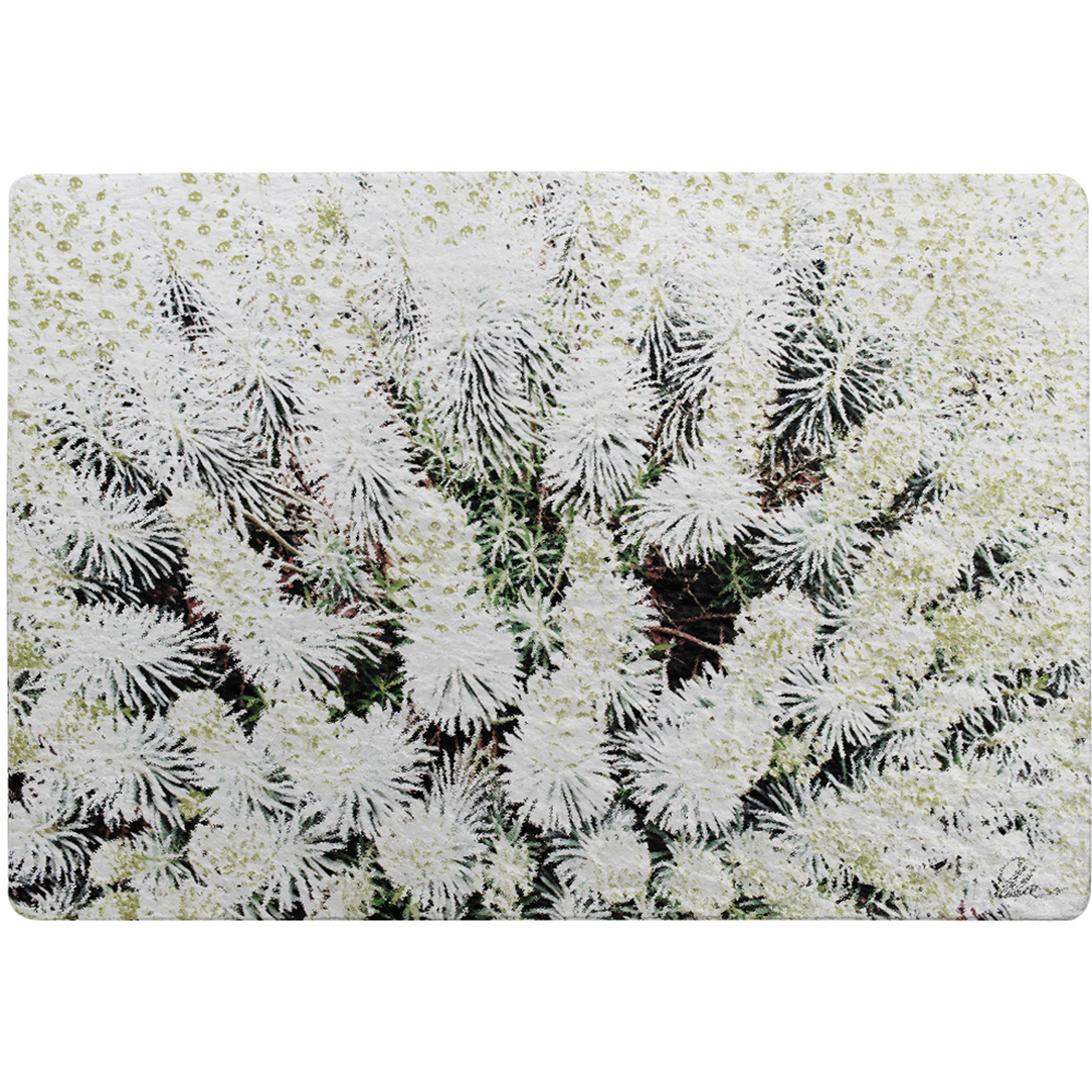 Beautifully White Rug - White / 150cm thumbnail