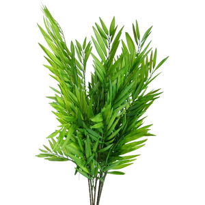 Pack of 6 x Bamboo Fern Stem