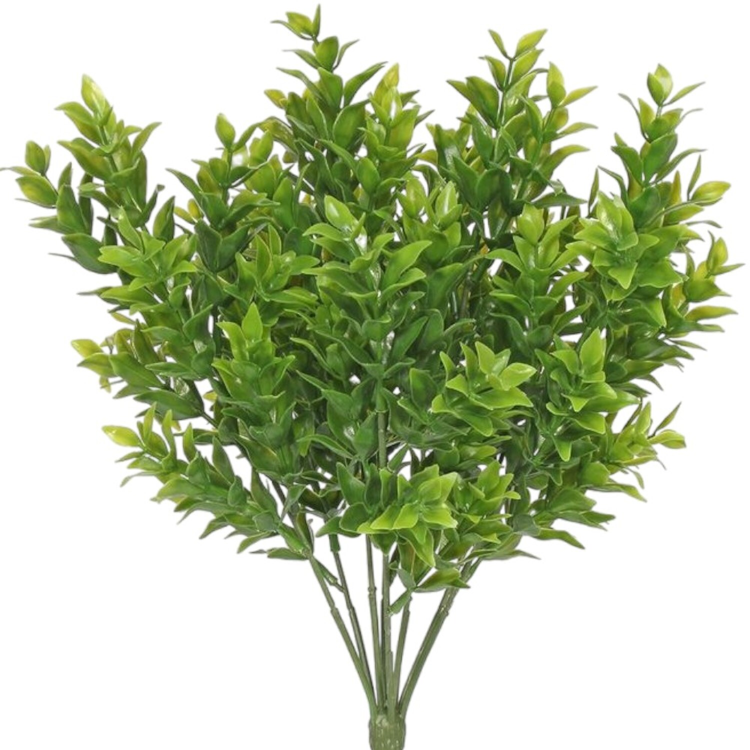 UV Indoor, Outdoor Everlast Tea Tree Plant