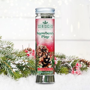 6 Scented Christmas Tree Ornaments Hanging Sticks Snowberry Pine