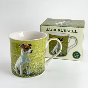 Green Leonardo Jack Russell Terrier Dog Mug With All Round Print shot 6588064