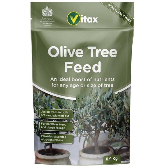 Olive Tree Feed 