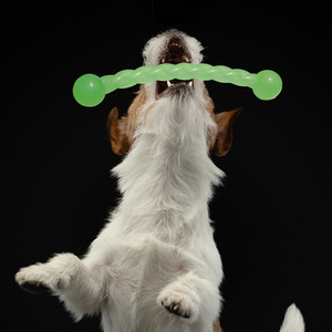 Glow in the Dark Throw Stick Large