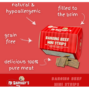 Mr Barnaby's Banging Beef Mini Strips Dog Treats