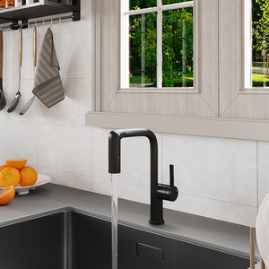 Kitchen Water Tap with Retractable Pull-out Sprayer