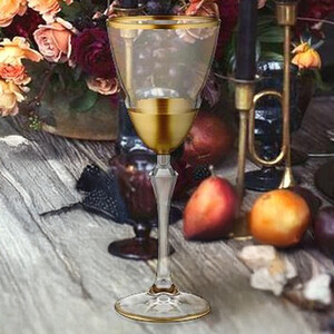 The Mia Glam Series Gold Wine Glasses