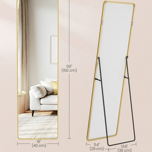 Full Length Mirror with Stand