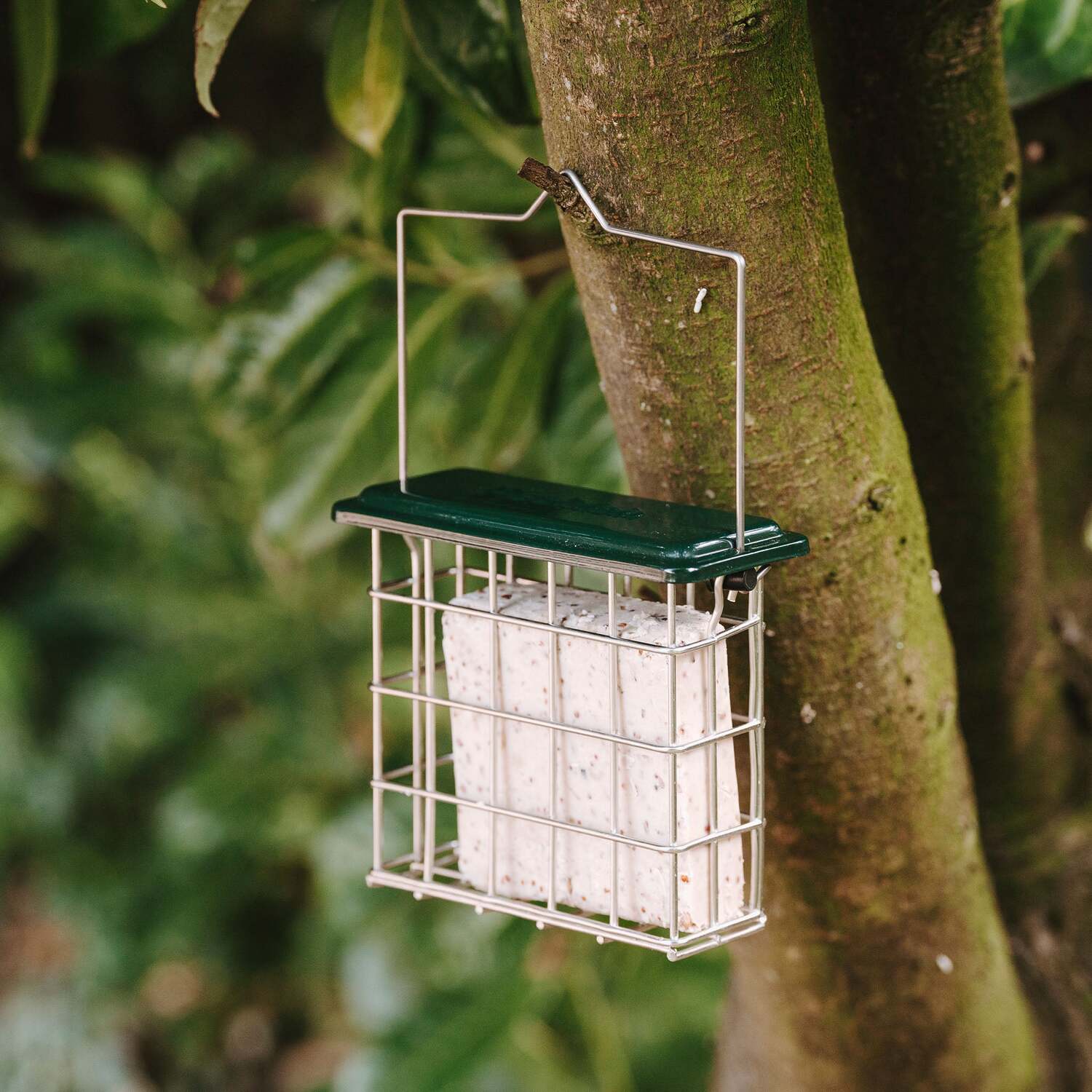 Image of Peckish All-Weather Suet Cake Feeder -&hellip;