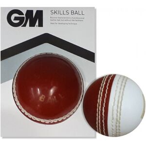 Gunn And Moore Skills Cricket Ball