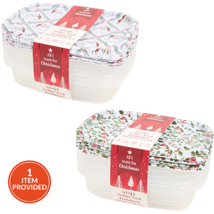 Pack of 6 Festive Robin or Santa Food Containers