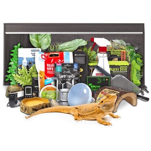 Swell Reptiles Bearded Dragon Premium Adult Starter Kit