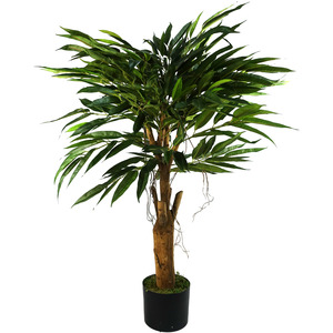 Longifolia Ficus Tree Artificial Natural Trunk