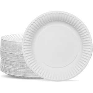 9 inch Disposable Party Plates White Paper Plates