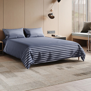 Striped Pattern Bedding Sheet Set