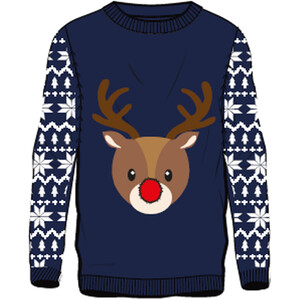 Blue Kids Blue Reindeer Jumper shot 7139558