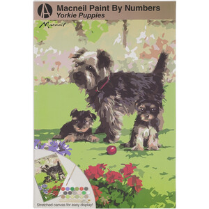 MacNeil Paint By Numbers Yorkie Puppies or Kittens Kit