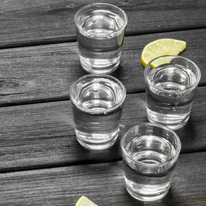  shot 11276498