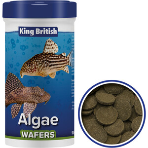 King British Algae Wafers 100g